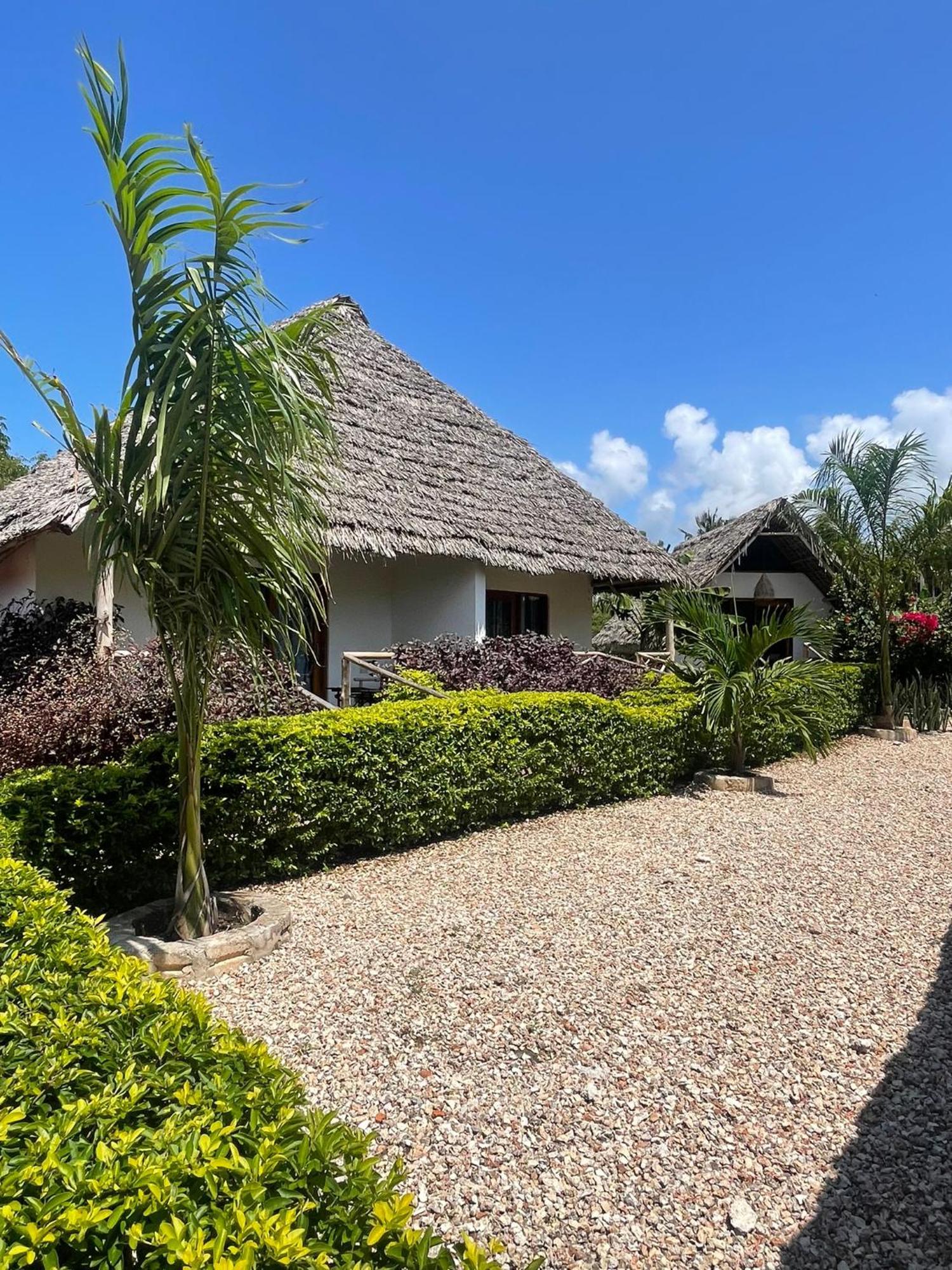 Kokopelli Bungalows Nungwi Bagian luar foto