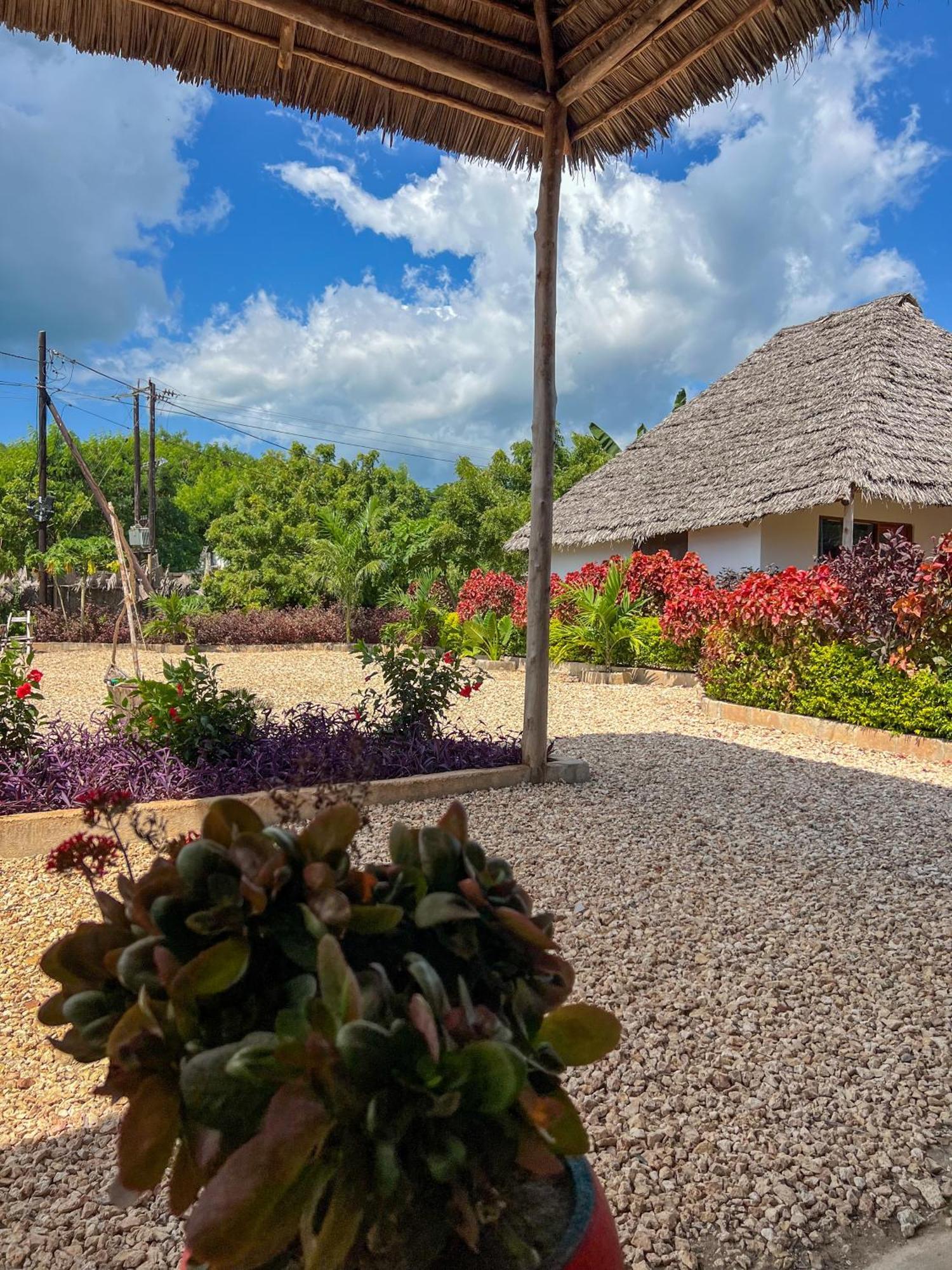 Kokopelli Bungalows Nungwi Bagian luar foto